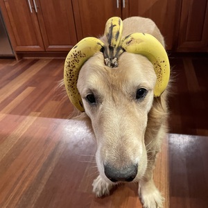 Fundraising Page: Doug Thompson